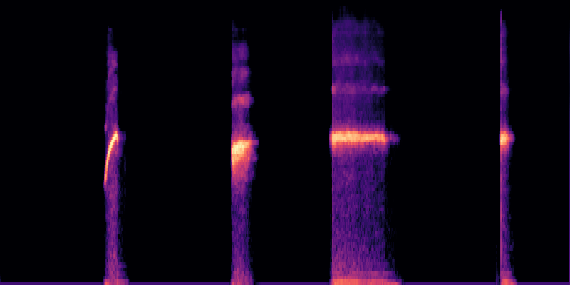 DAC spectrogram visualization