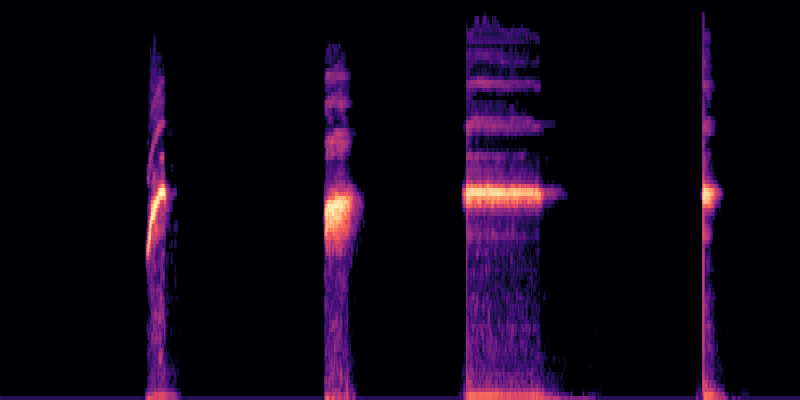 Spectral Codec spectrogram visualization