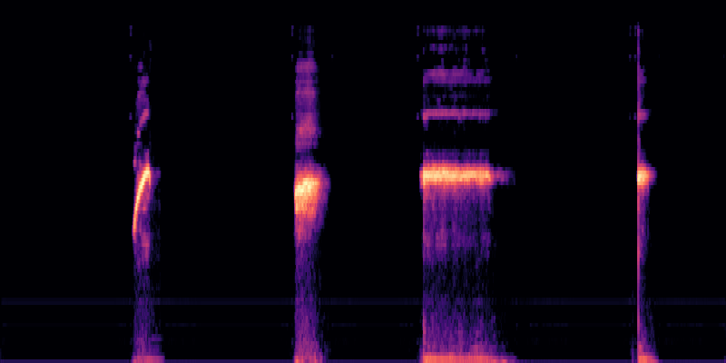Nvidia Codec spectrogram visualization